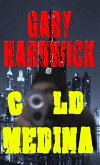 Cold Medina (eBook, ePUB)