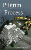 Pilgrim Process (eBook, ePUB)