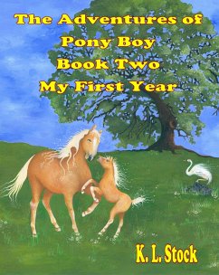 Adventures of Pony Boy Book Two: My First Year (eBook, ePUB) - Stock, K. L.
