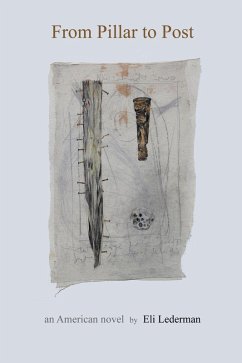 From Pillar to Post (eBook, ePUB) - Lederman, Eli