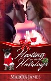 Heating Up the Holidays (eBook, ePUB)