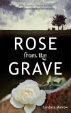 Rose from the Grave (Mystical Mysteries Trilogy, #2) (eBook, ePUB)
