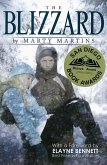 Blizzard (eBook, ePUB)