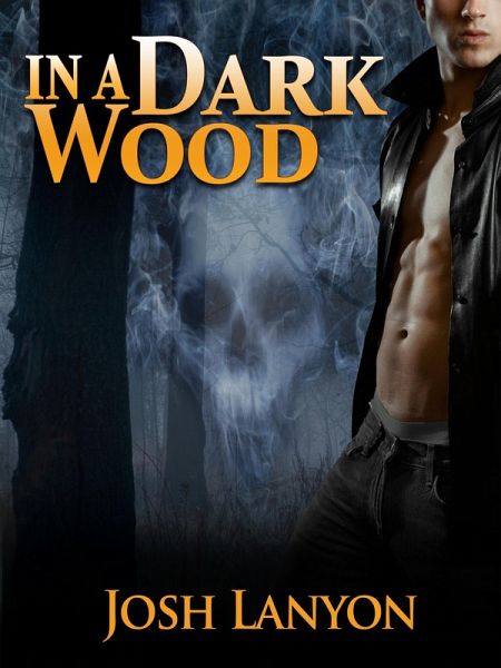 In a Dark Wood (eBook, ePUB)