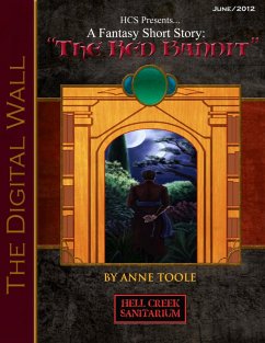Digital Wall: The Red Bandit (eBook, ePUB) - Toole, Anne