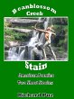 Beanblossom Creek and Stain-The Short... - Bild 1