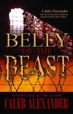Belly of the Beast (eBook, ePUB)