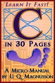 C in 30 Pages (eBook, ePUB)