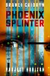 Phoenix Splinter (eBook, ePUB) - Bild 1