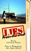 Lies From The Past: A Viet Nam Tale (eBook, ePUB)