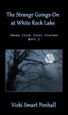 Strange Goings-On at White Rock Lake (eBook, ePUB)