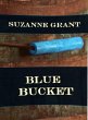 Blue Bucket (eBook, ePUB) - Bild 1