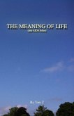 Meaning of Life (and AIDS Jokes) (eBook, ePUB)