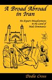 Broad Abroad in Iran, An Expat's Misadventures in the Land of Male Dominance (eBook, ePUB)
