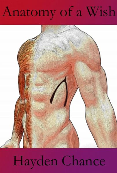 Anatomy of a Wish (eBook, ePUB)