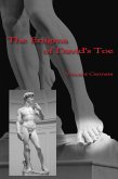 Enigma of David's Toe (eBook, ePUB)