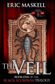 Veil (eBook, ePUB)