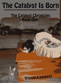 Catalyst is Born: The Catalyst Chronicles - Book One (eBook, ePUB)