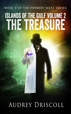 Islands of the Gulf Volume 2, The Treasure (eBook, ePUB) - Driscoll, Audrey