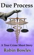 Due Process (eBook, ePUB) - Bild 1