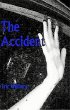 Accident (eBook, ePUB) - Bild 1