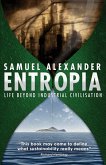 Entropia: Life Beyond Industrial Civilisation (eBook, ePUB)