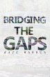Bridging The Gaps (eBook, ePUB) - Bild 1