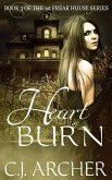 Heart Burn (Book 3 of the 1st Freak House Trilogy) (eBook, ePUB)