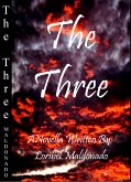 Three (eBook, ePUB)