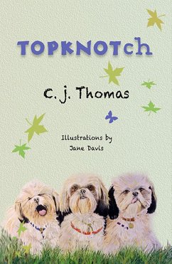 Cover TopKnotch (eBook, ePUB)