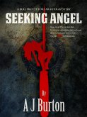 Seeking Angel (eBook, ePUB)