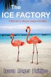 Ice Factory (eBook, ePUB) - Bild 1