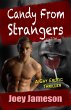 Candy From Strangers: A Gay Erotic... - Bild 1