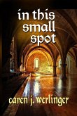 In This Small Spot (eBook, ePUB)