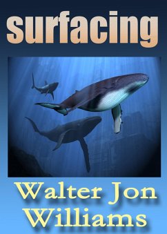 Cover Surfacing (Novella) (eBook, ePUB)