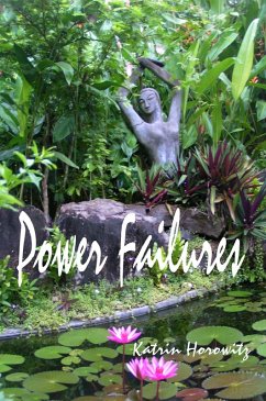 Power Failures (eBook, ePUB) - Horowitz, Katrin Power Failures (eBook, ePUB) - Horowitz, Katrin