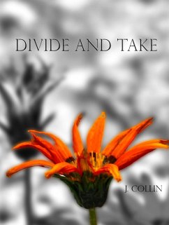 Divide and Take (eBook, ePUB) - Collin, J.