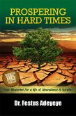 Prospering in Hard Times (eBook, ePUB)