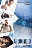 Groomed (eBook, ePUB)