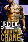 Into the Shadows (eBook, ePUB)