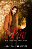 Fire (eBook, ePUB)