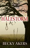 Halestorm (eBook, ePUB)