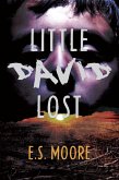 Little David Lost (eBook, ePUB)