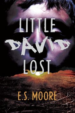 Cover Little David Lost (eBook, ePUB)