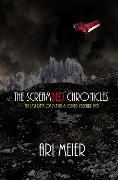 ScreamBed Chronicles: The Last Days of Playas & Other Insecure Men (eBook, ePUB) - Meier, Ari