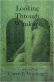 Looking Through Windows (eBook, ePUB)