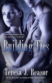 Building Ties (eBook, ePUB)