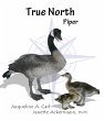 True North (eBook, ePUB) - Bild 1