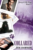 Collared (eBook, ePUB)