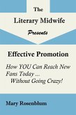Effective Promotion (eBook, ePUB)